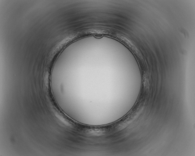 X0000113760445200910141051