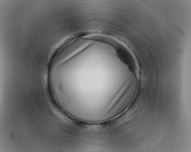 X0000113760446200910141051