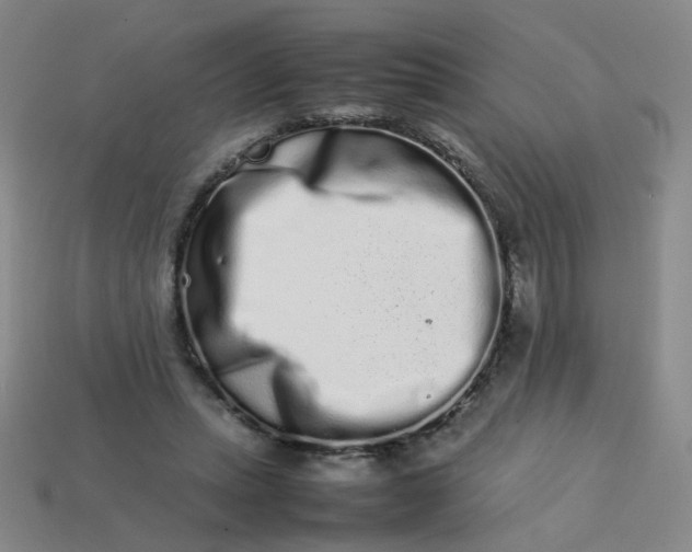 X0000113760447200910141051