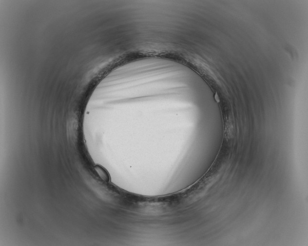 X0000113760448200910141051