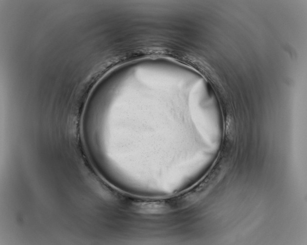 X0000113760449200910141051