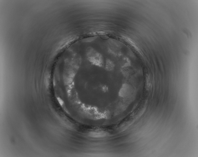 X0000113760451200910141051