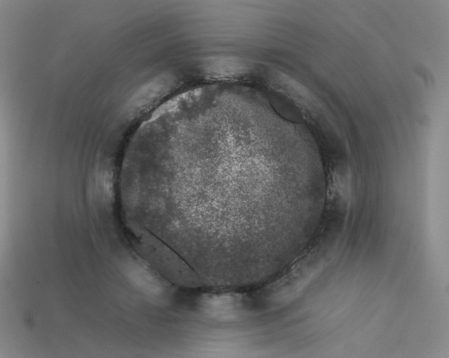 X0000113760452200910141051