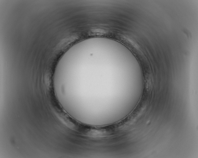 X0000113760455200910141051