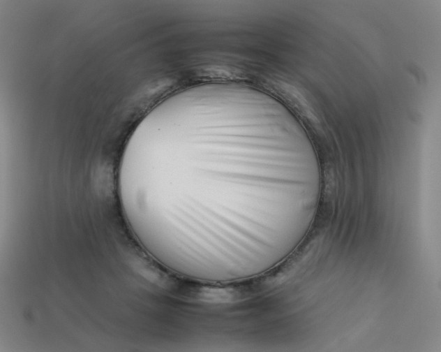 X0000113760457200910141051