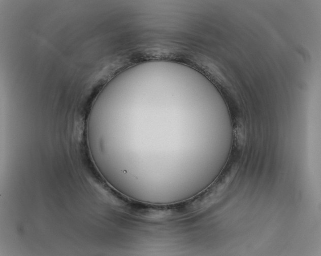 X0000113760458200910141052