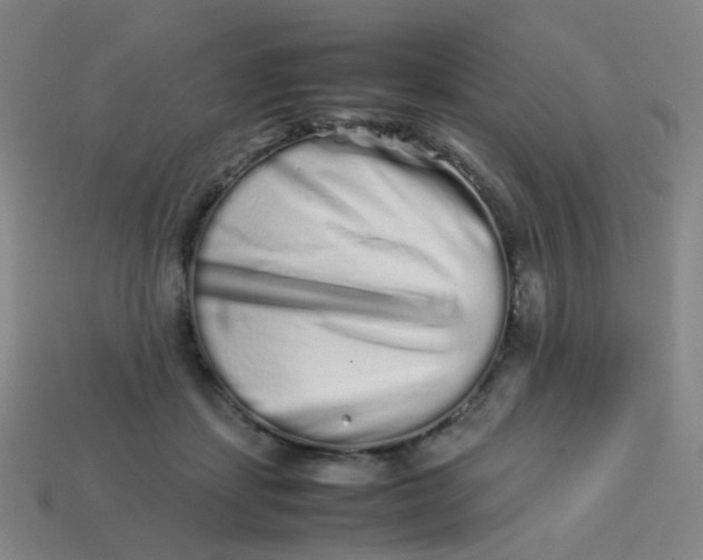 X0000113760459200910141052