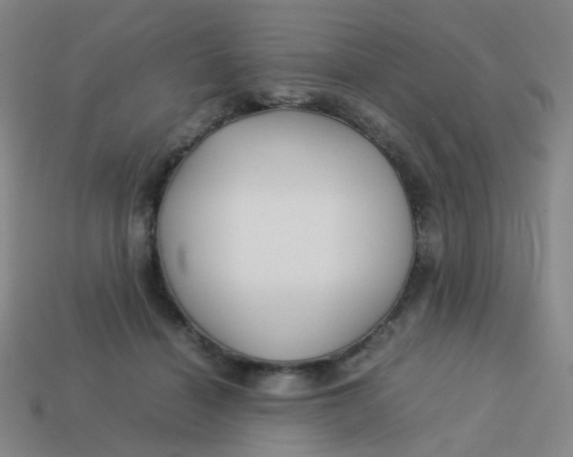 X0000113760460200910141052