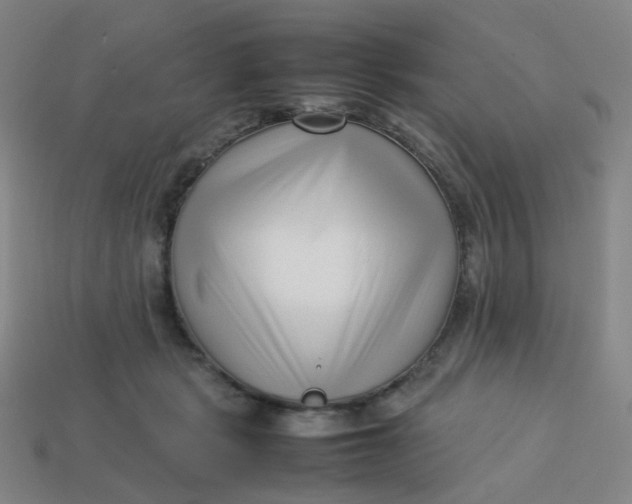 X0000113760461200910141052