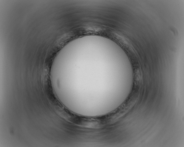 X0000113760463200910141052