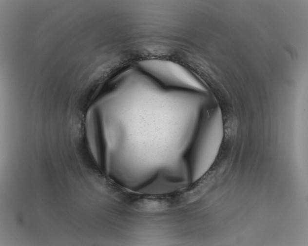 X0000113760464200910141052