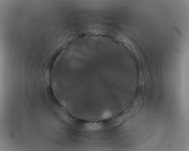 X0000113760465200910141052