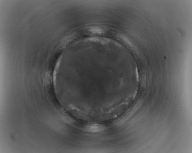 X0000113760467200910141052