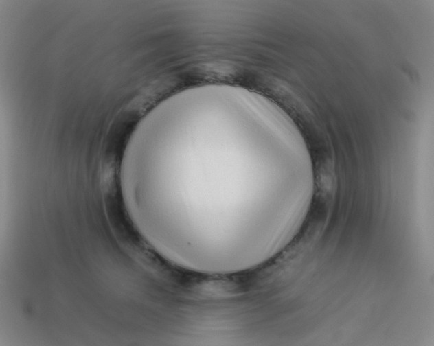 X0000113760468200910141052