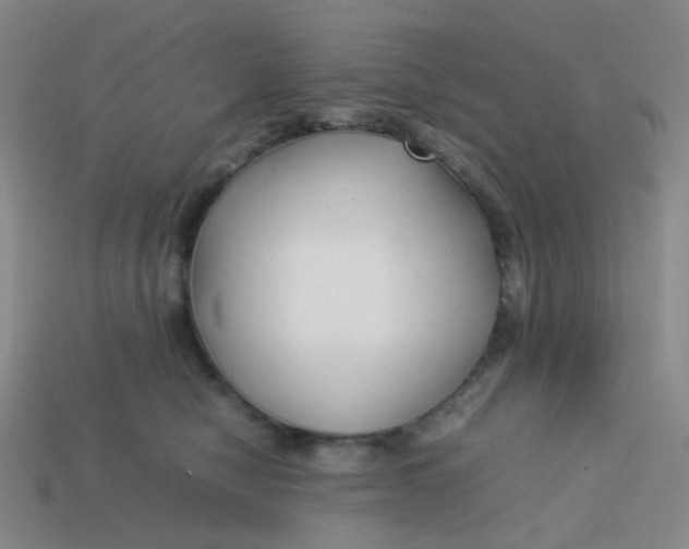 X0000113760470200910141052