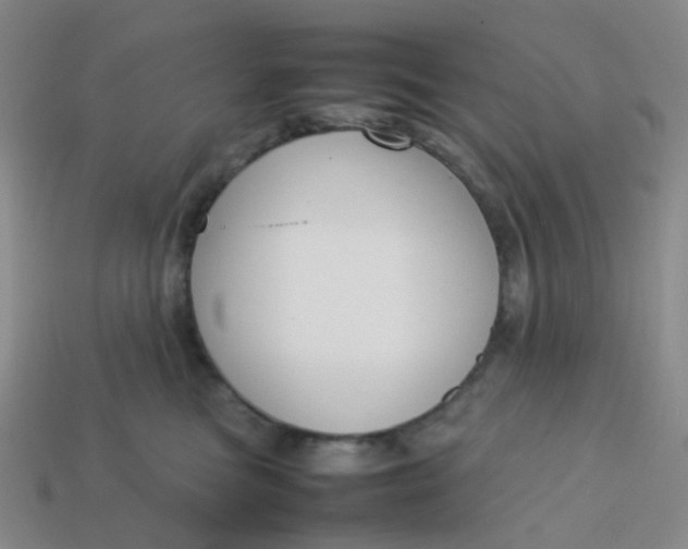 X0000113760473200910141052