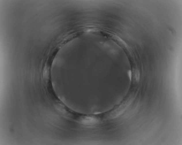 X0000113760475200910141052