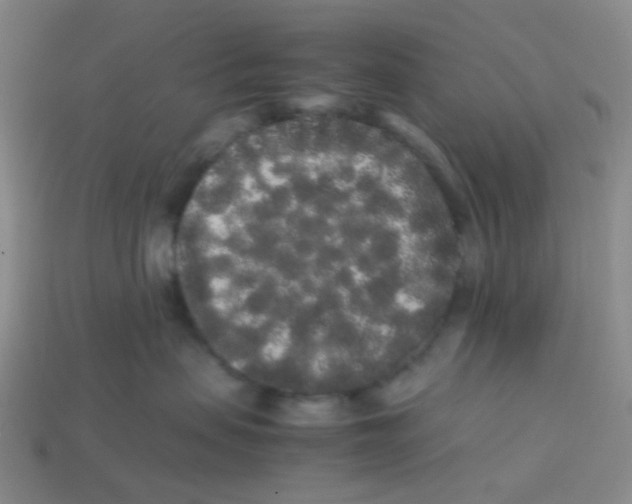 X0000113760479200910141052