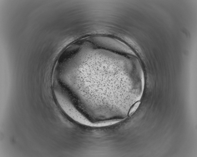 X0000113760481200910141051