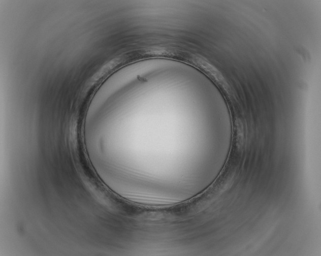 X0000113760482200910141051