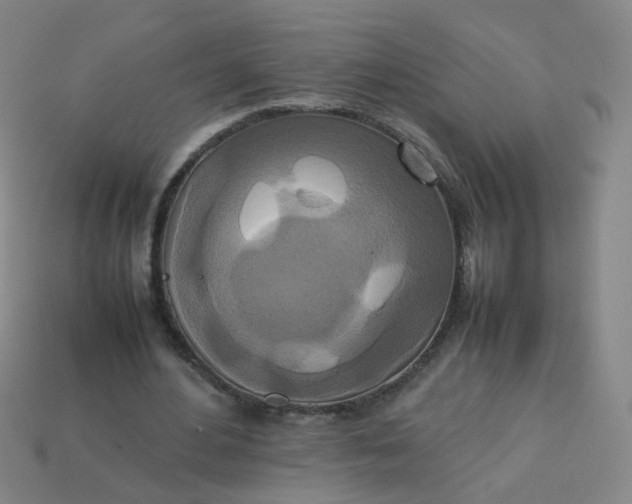 X0000113760484200910141051