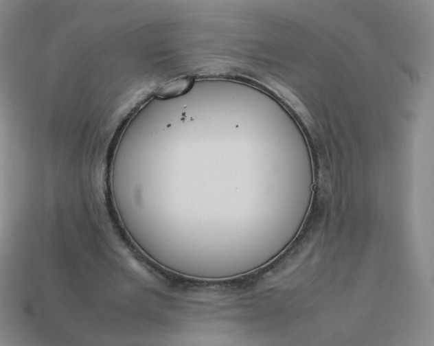 X0000113760485200910141051