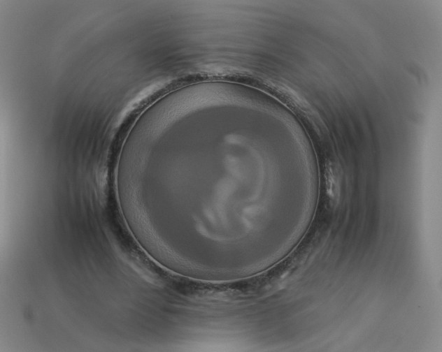 X0000113760488200910141051