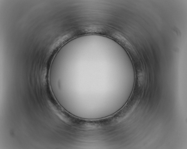 X0000113760490200910141051