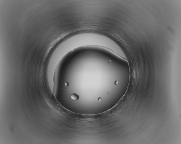 X0000113760492200910141051