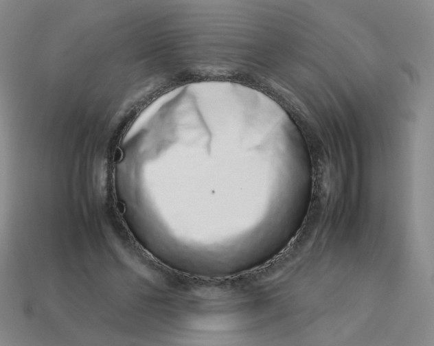 X0000113760494200910141051