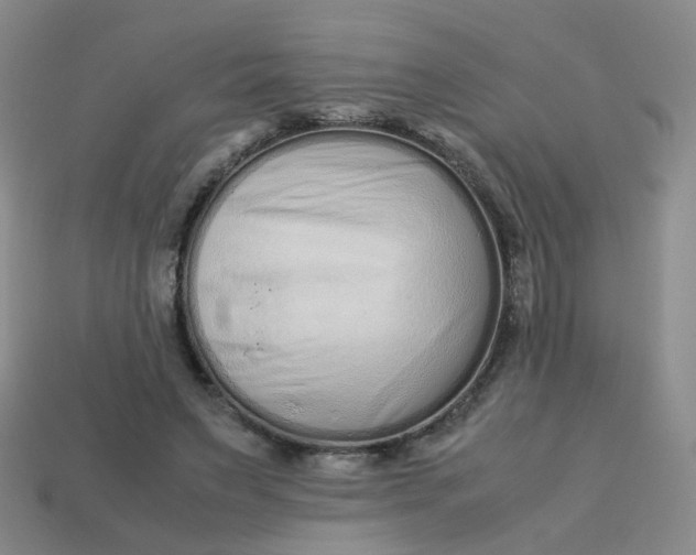 X0000113760495200910141051