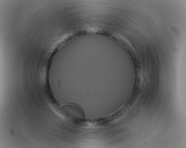 X0000113760496200910141051