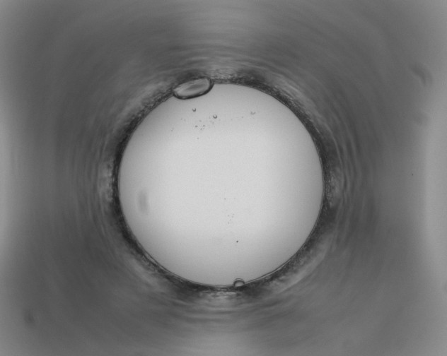 X0000113760497200910141051