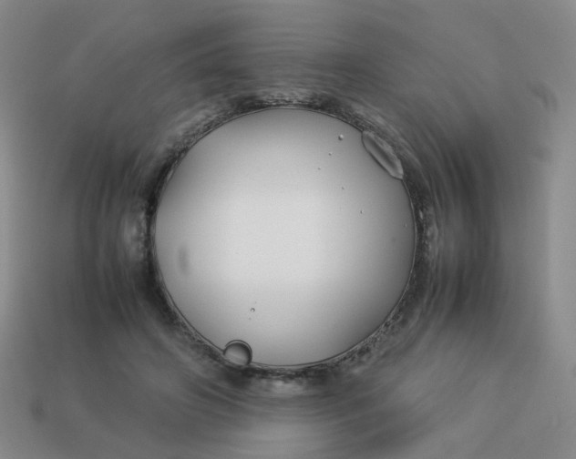 X0000113760498200910141051