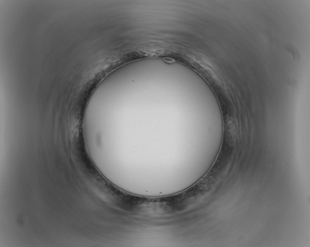 X0000113760499200910141051