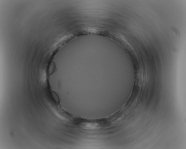 X0000113760500200910141051