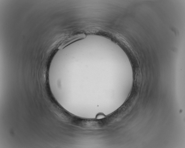 X0000113760501200910141051