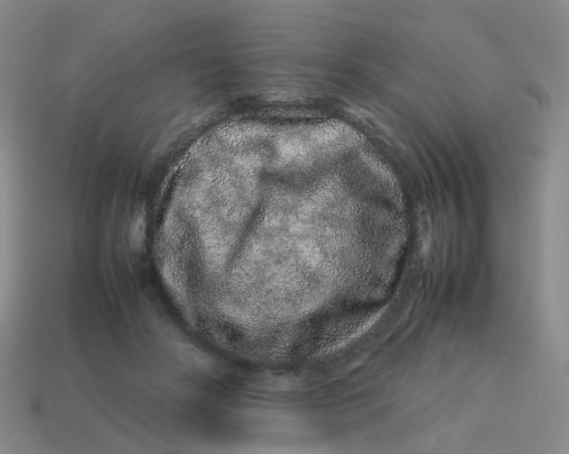 X0000113760502200910141051