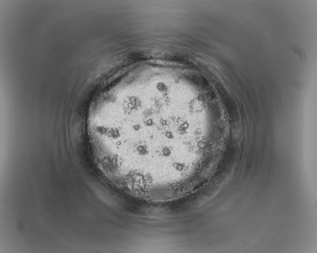 X0000113760503200910141051