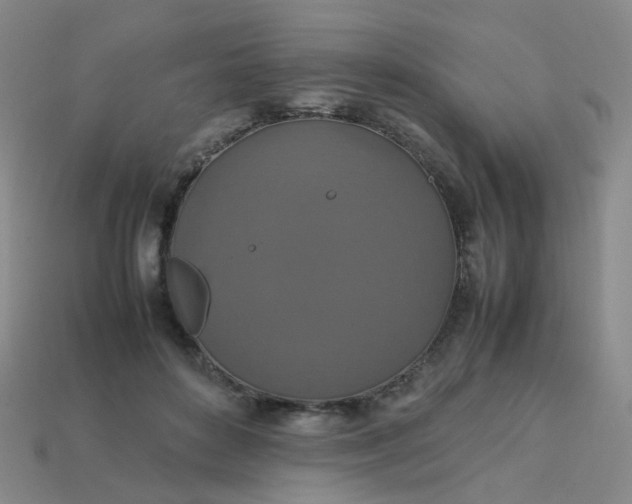 X0000113760504200910141051