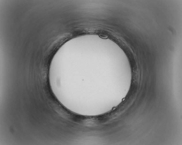 X0000113760505200910141051