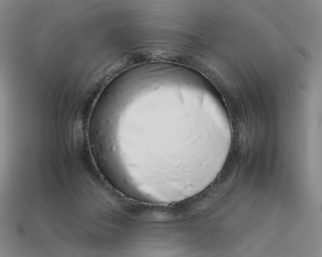 X0000113760506200910141051