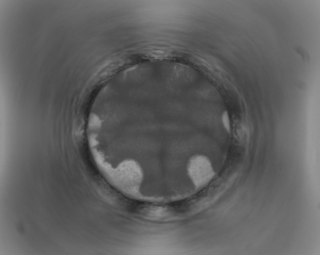 X0000113760507200910141051