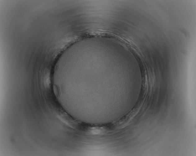 X0000113760508200910141051