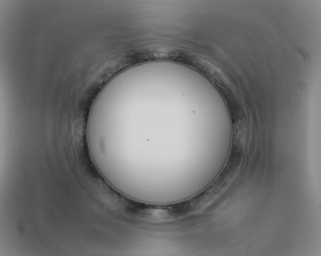 X0000113760509200910141051