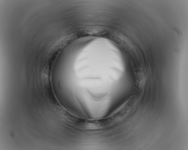 X0000113760510200910141051