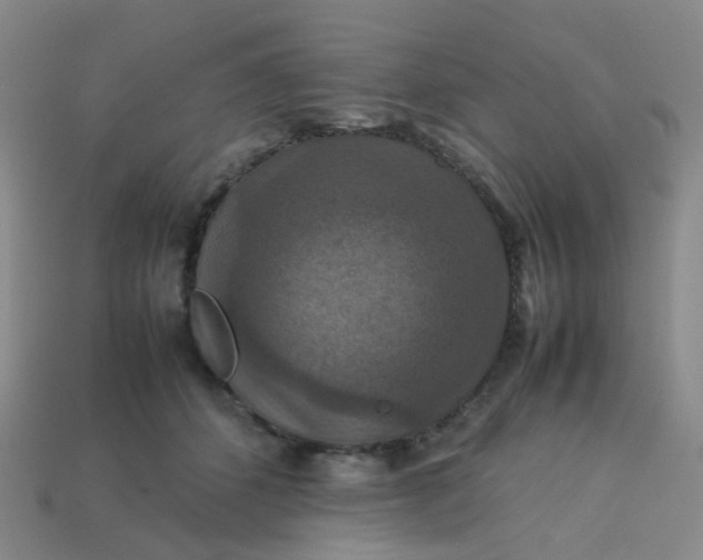 X0000113760512200910141051