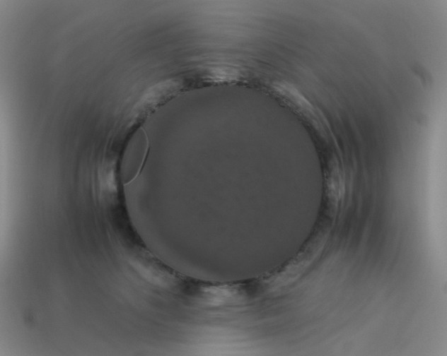 X0000113760516200910141051