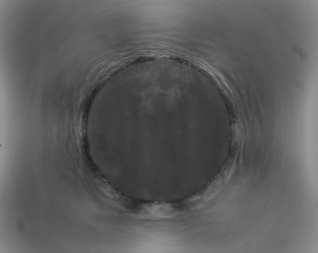 X0000113760517200910141051