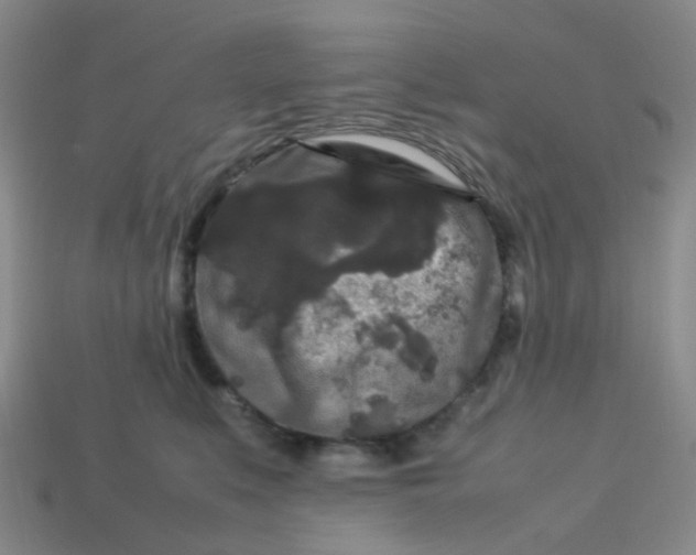 X0000113760519200910141051